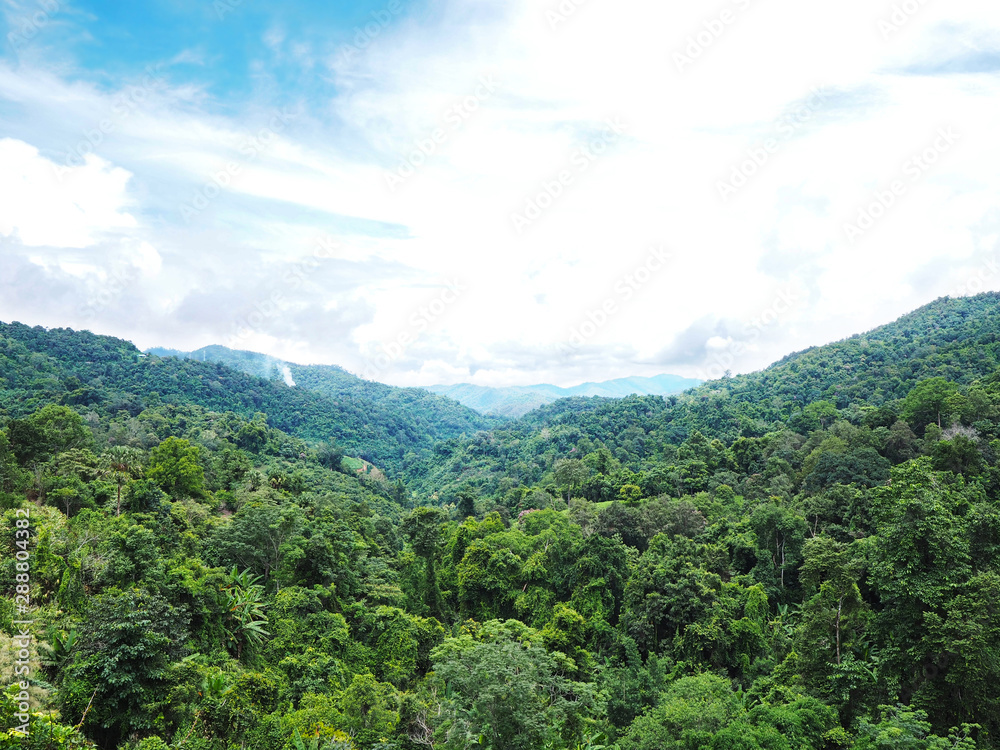 Green treetops on the mountain against blue sky. Natural rainforest background.