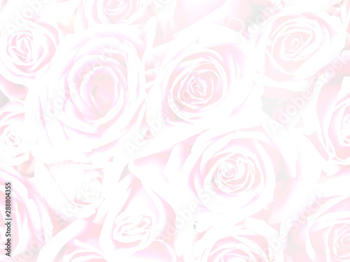 Floral abstract background. Pink rose flowers bouquet for valentines or wedding day background.