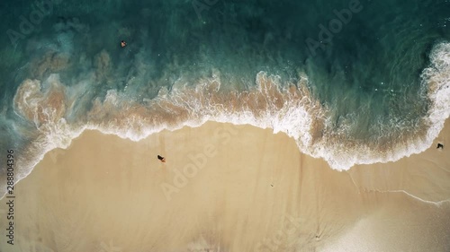 person stands on yellow sand beach at foaming ocean waves rolling on tropical coastline vertical aerial. Concept vacation paradise recreation exotic nature. Nusa Penida Bali island, Indonesia. 4K shot photo