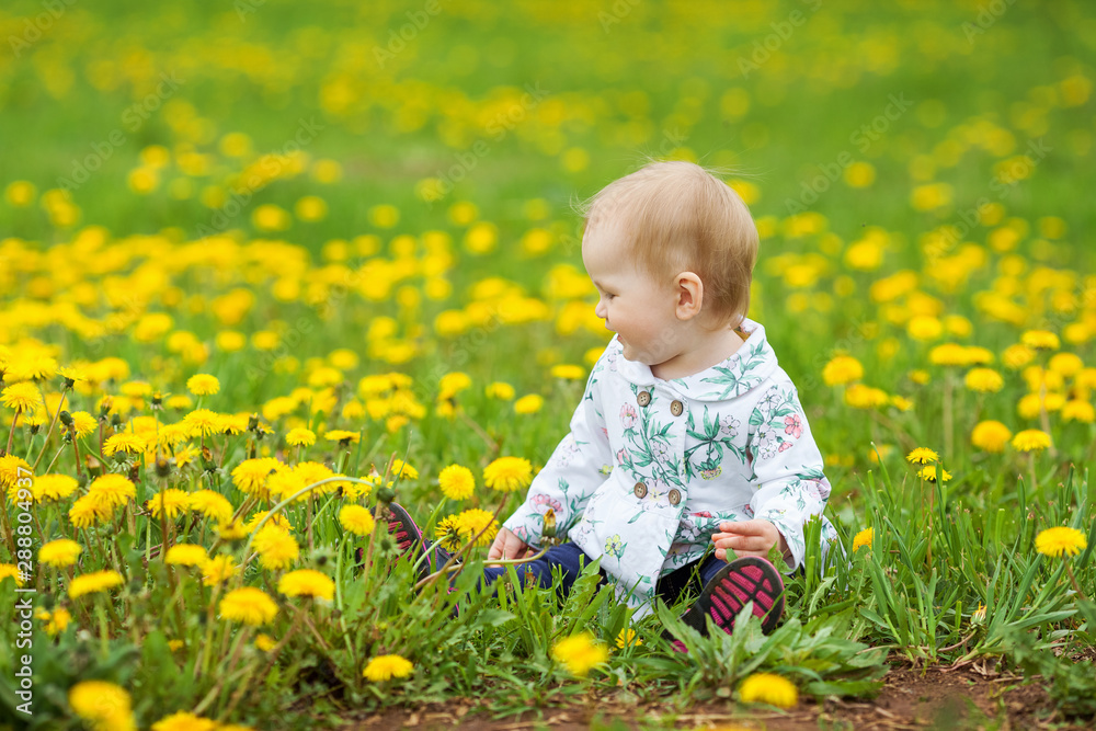 Little girl on the meadow with dandelions, happy baby among dandelions. Little girl on the meadow with dandelions, happy baby among dandelions.