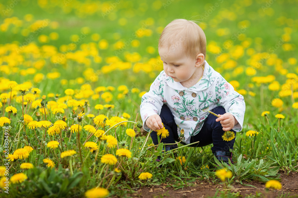 Little girl on the meadow with dandelions, happy baby among dandelions. Little girl on the meadow with dandelions, happy baby among dandelions.