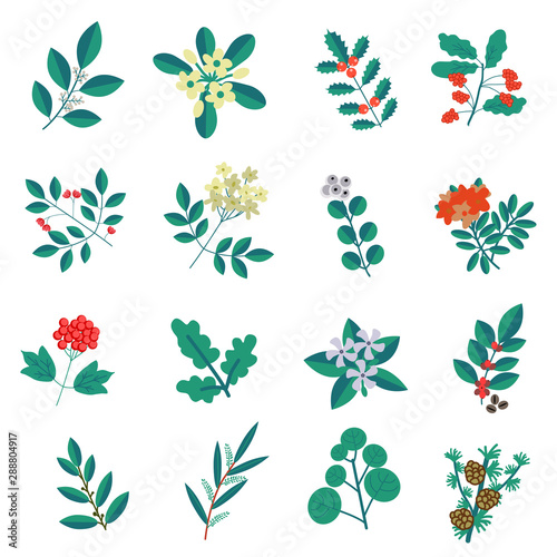 Decorative plants set