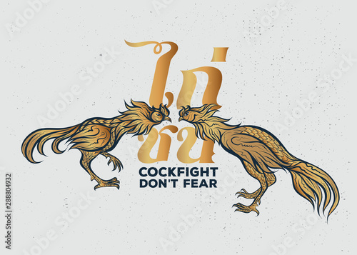 Cockfight, Thai rooster fight illustration logo with text. Graphics for t-shirt prints and other uses.