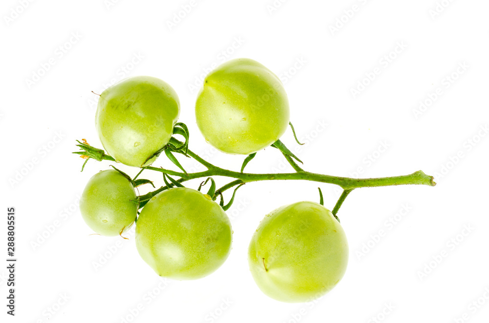Unripe green tomatoes on branch isolated on white. Unripe green tomatoes on branch isolated on white.
