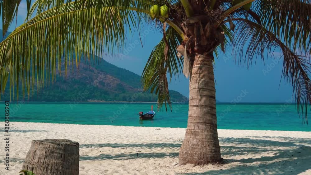A beautiful 4K UHD Cinemagraph of a tropic seaside beach at Perhentian Island, Malaysia with a huge palm tree and a traditional long tail boat.