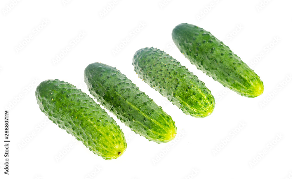 Bunch of fresh green cucumbers isolated on white background Bunch of fresh green cucumbers isolated on white background
