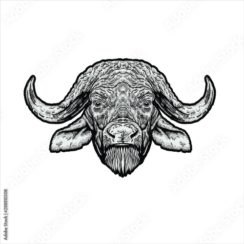 bufallo head drawing