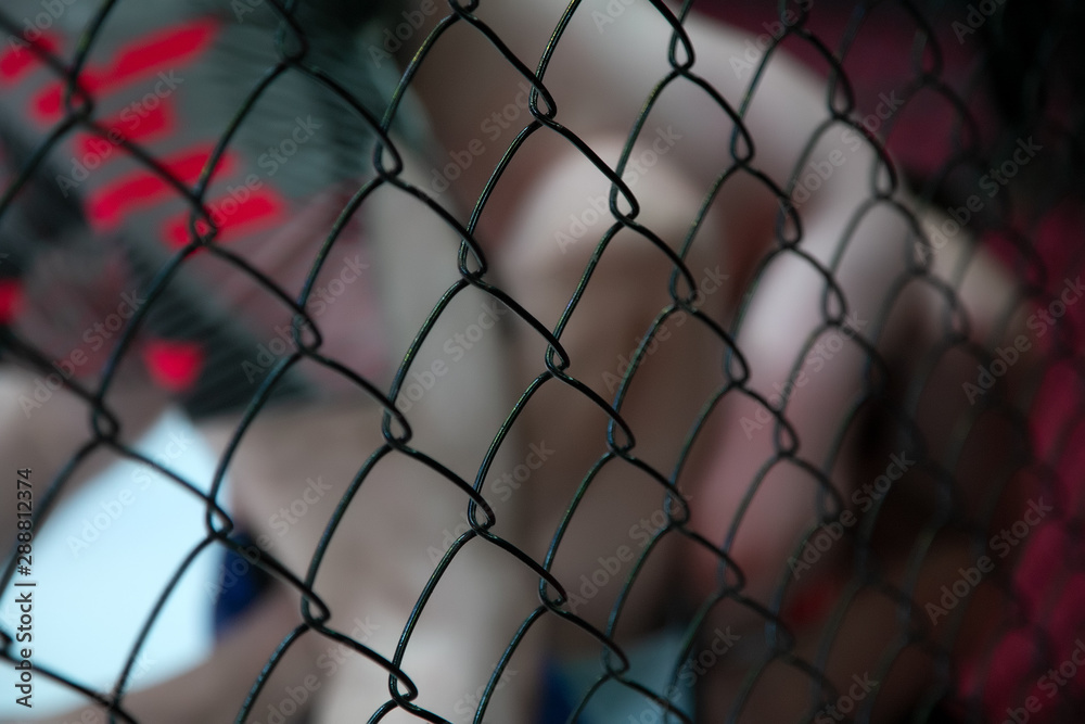 Fototapeta premium Close-up of the metal cage,in the background arena of the octagonal scene by the battle of two professional male athletes, in the background is the judge. Fights without rules according to MMA version