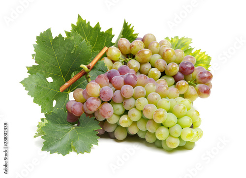 Grapes on a white background 
