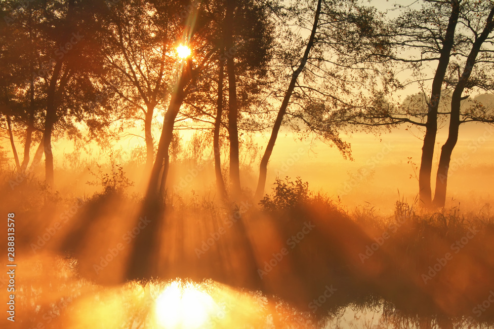 Misty dawn at the lake in spring Misty dawn at the lake in spring