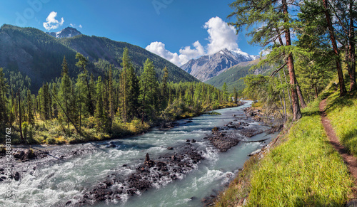 The river flows through a picturesque valley in the Altai Mountains, summer sunny landscape