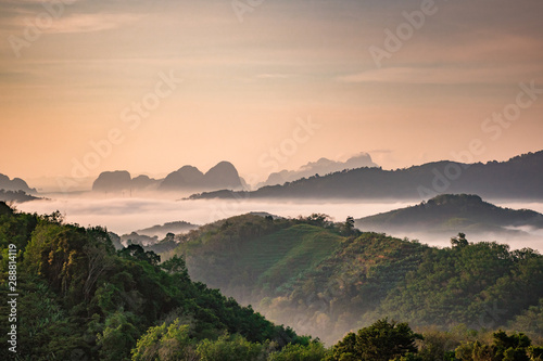 High views with views of mountains and fog interspersed among lush green forests at sunrise, golden light, sky and colorful clouds. © knotsound