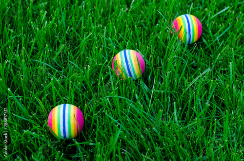 Colored little balls for cats  dogs on green grass.