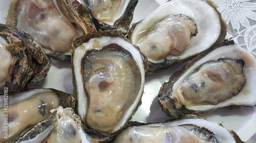 Group of Raw Fresh close up giant open oysters in a Shell serving on the white plate, Freshness seafood from fishery boat at fresh market, food backgrounds