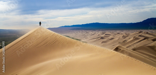 Men walking in the mongolian desert sand dunes. Young men walking golden sand on a bright summer day  Mongolia holliday vacation concept.