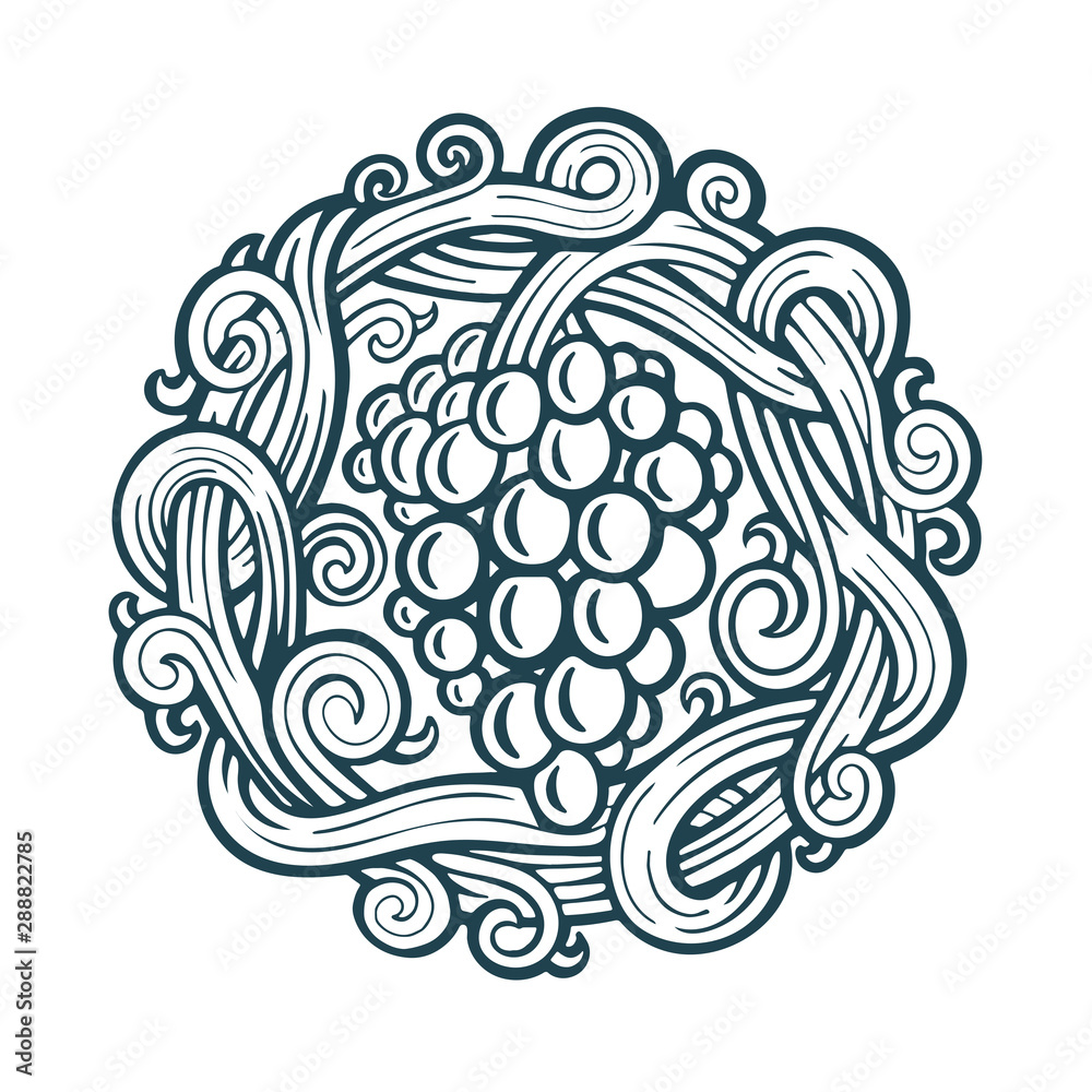Grape. Hand drawn grape and vine engraving style illustrations set. Bunch of grapes vector design element. Grape and vine logo and background. Wine theme grape and vine vintage style ornament. Part of