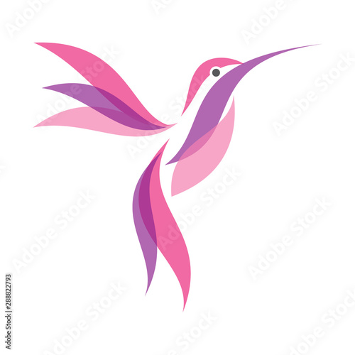 Colorful Hummingbird icon symbol in flat style on the white background