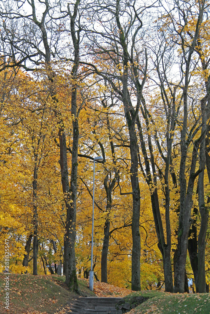 Autumn in park of Vilnius