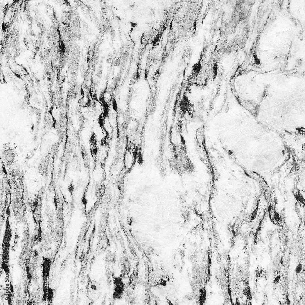  abstract natural marble texture black and white (gray) for background