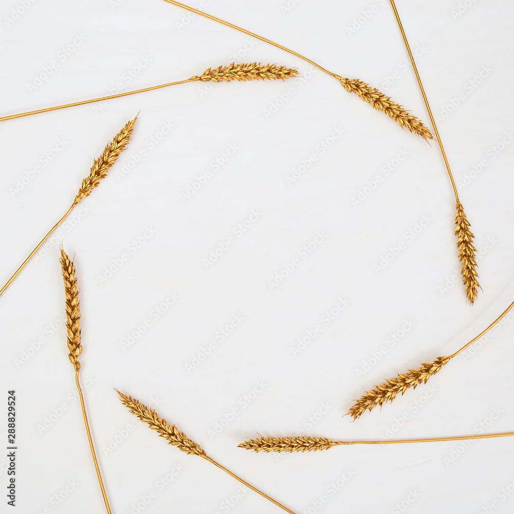 Round Frame from spikelets of wheat plant painted gold colored. Autumn creative still life. Minimal style background with copy space. Round Frame from spikelets of wheat plant painted gold colored. Autumn creative still life. Minimal style background with copy space.