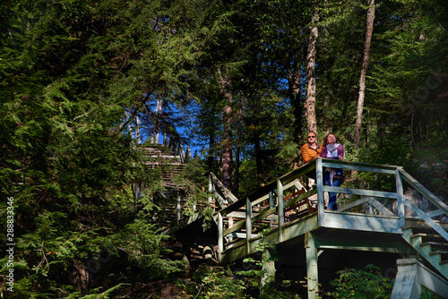 view from a distance of a middle-aged couple, tourists looking at the open spaces, a middle-aged couple rejoices at the warm rays of the sun in the forest. tourists enjoying outdoor activity