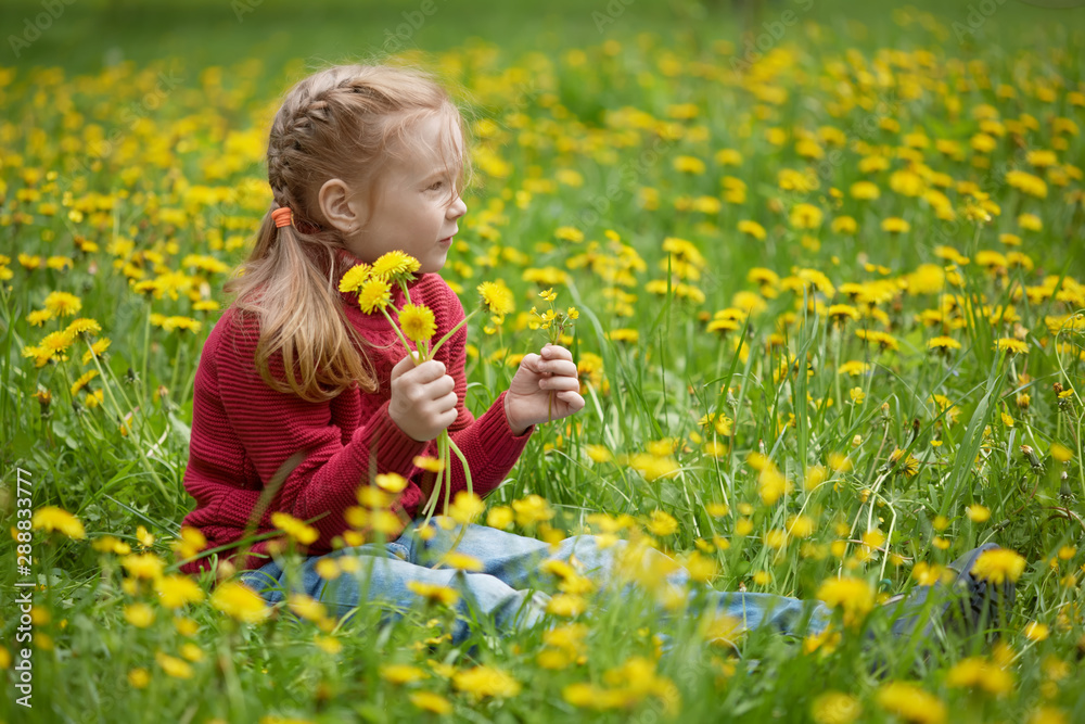 Little girl and meadow with dandelions. Summer day outdoors Little girl and meadow with dandelions. Summer day outdoors