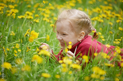 Little girl and meadow with dandelions. Summer day, outdoors © vishnena