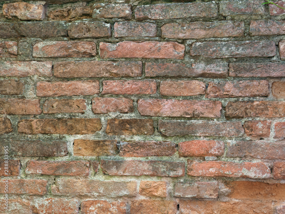 Obraz premium old red brick wall with green ivy