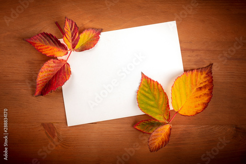 Autumn background with vibrant fall leaves with a card, a design template for a flyer, invitation, or gift card with copy space