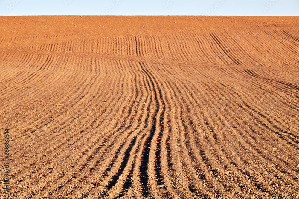 Naklejka premium Plough agriculture field before sowing.