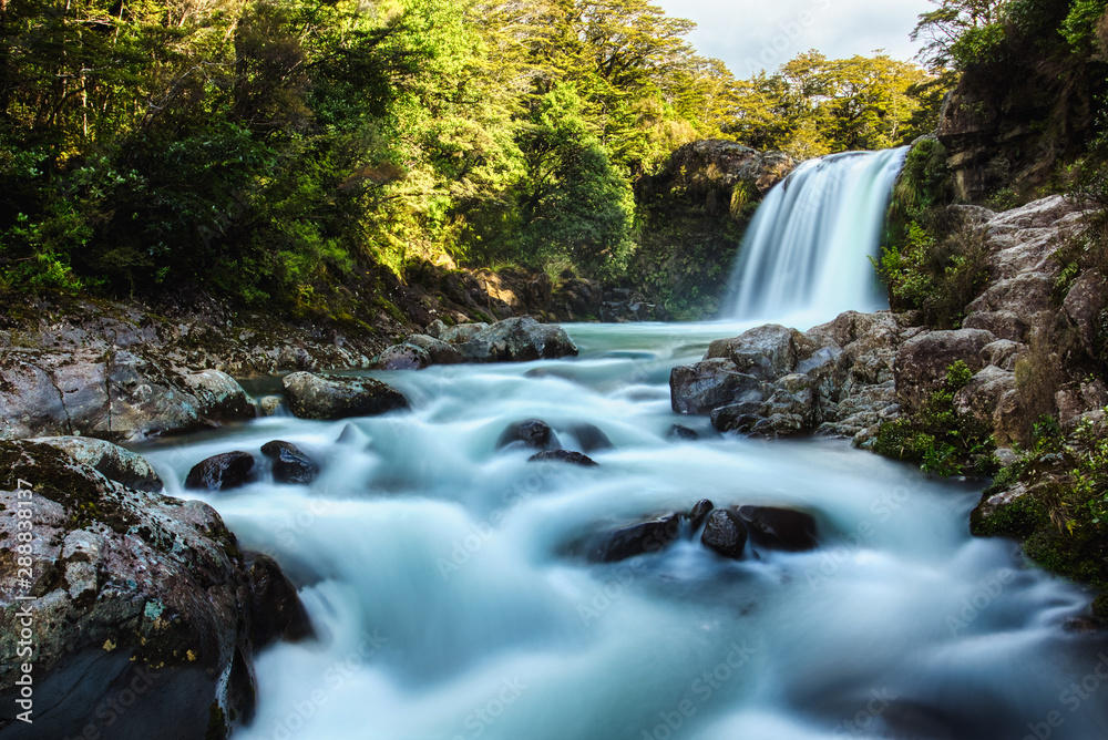 Fototapeta premium Beautiful Tawhai Falls in Tongariro National Park, New Zealand