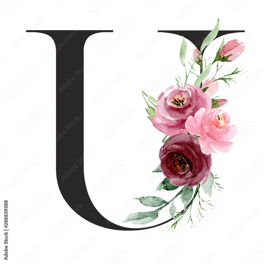 Floral alphabet, letter U with watercolor flowers and leaf