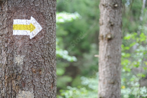 Walking trail marks and signs on trees showing direction for hikers in forest