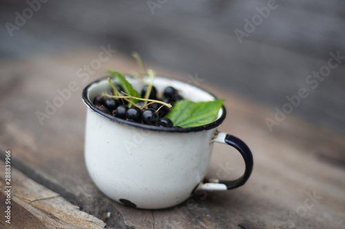 Black Currant in old pot on retro background