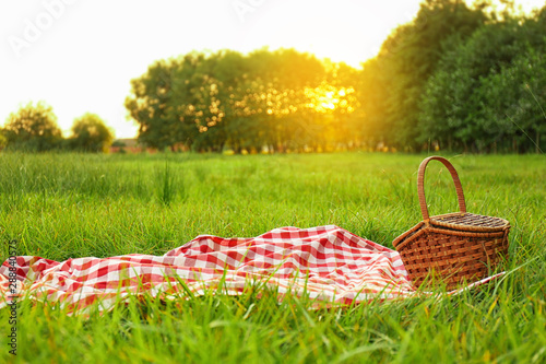 Picnic blanket and basket on grass in park photo