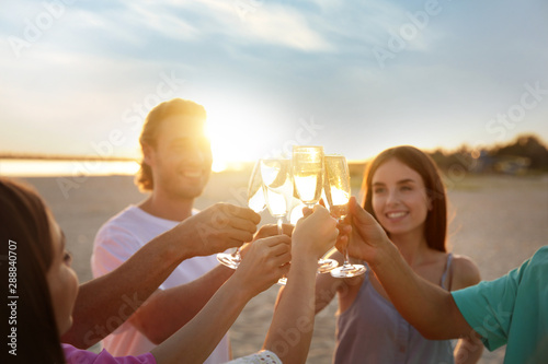 Friends drinking champagne on sea beach © Pixel-Shot