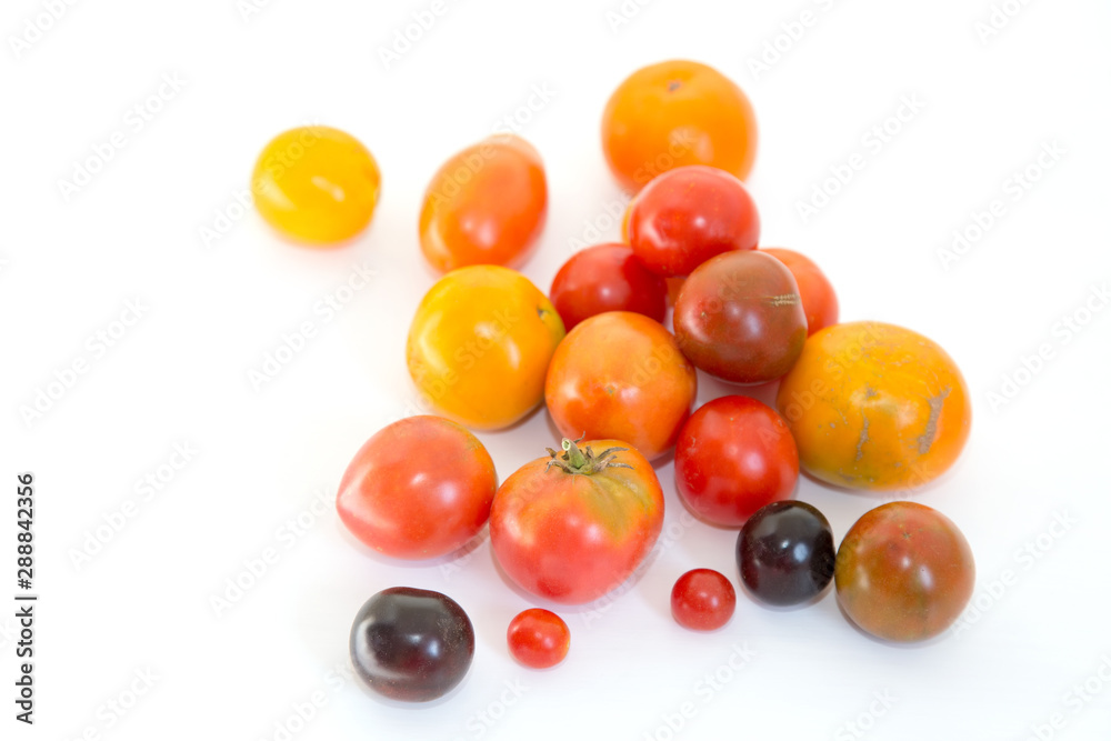 Multicolored tomatoes on a white background. Fresh harvest. Multicolored tomatoes on a white background. Fresh harvest.