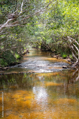 Fototapeta Naklejka Na Ścianę i Meble -  Beautiful creek near Kuranda in Tropical North Queensland, Australia