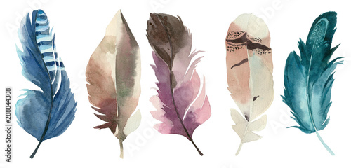 Set of watercolor feathers
