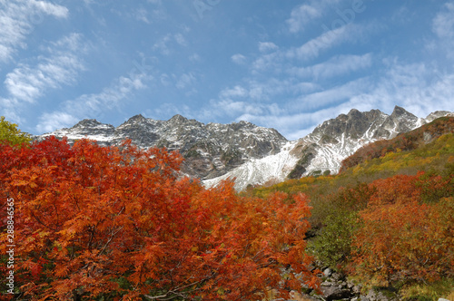 autumn coorful leaves and snowy mountains / 信州上高地の三段紅葉