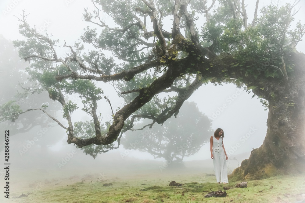 Woman in white clothes standing near a misty tree in a foggy wood