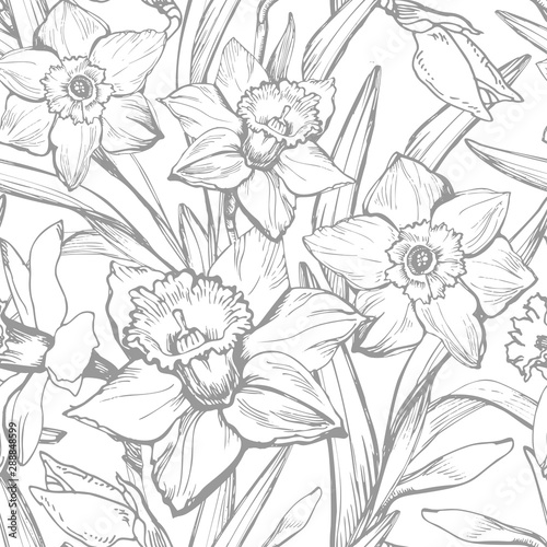 Hand drawn monochrome botanical vintage vector with narcissus, daffodils flowers. Elegant seamless floral texture background for wallpaper, fabrics, decor of interior, home textile, package.