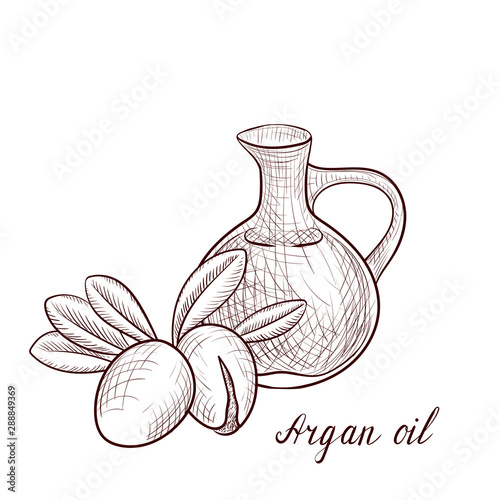 vector drawing argan oil
