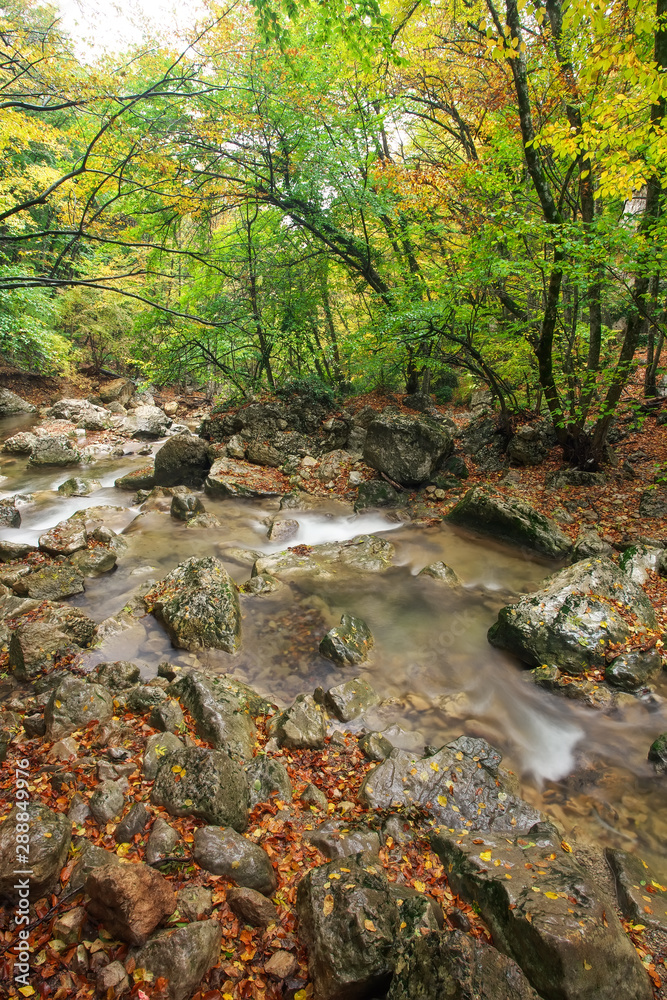 Amazing Autumn landscape. River in colorful autumn park with yellow, orange, red, green leaves. Golden colors in the mountain forest with a small stream. Season specific.