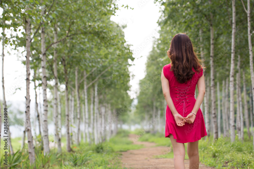 Woman in hat holding birch in forest. in summer Woman in hat holding birch in forest. in summer