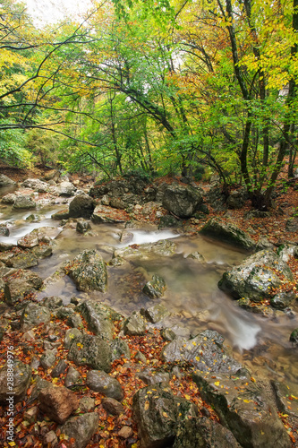 Amazing Autumn landscape. River in colorful autumn park with yellow  orange  red  green leaves. Golden colors in the mountain forest with a small stream. Season specific.
