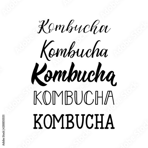 Kombucha. Vector illustration. Lettering. Ink illustration. Kombucha healthy fermented probiotic tea.