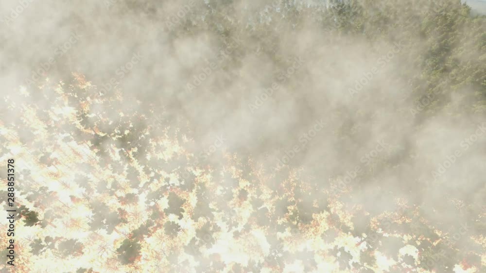 Aerial view smoke of wildfire. The plane flies over large flames from forest fire. Three dimensional rendering 3d animation. Aerial view smoke of wildfire. The plane flies over large flames from forest fire. Three dimensional rendering 3d animation.