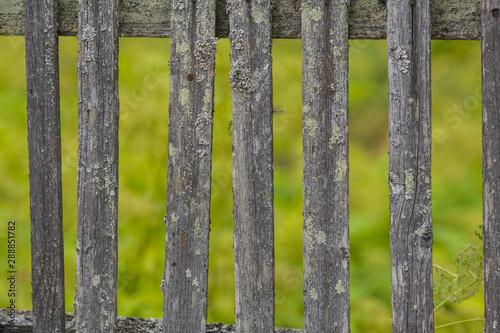 Old wooden fence. Background with old wood. Vintage wooden fence, close up, texture. Garden wall wood