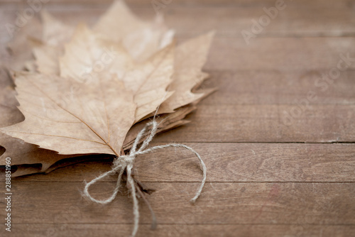 Autumn Leaves over wooden background. Dry leafs on old grunge wood deck, copy place for inscription
